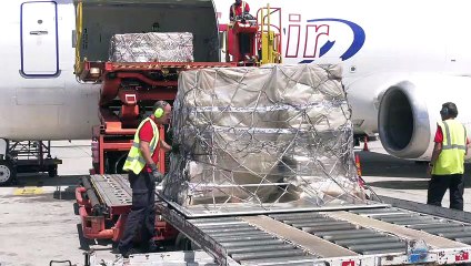 Llega a Gando otro avión fletado por el Gobierno de Canarias con material sanitario