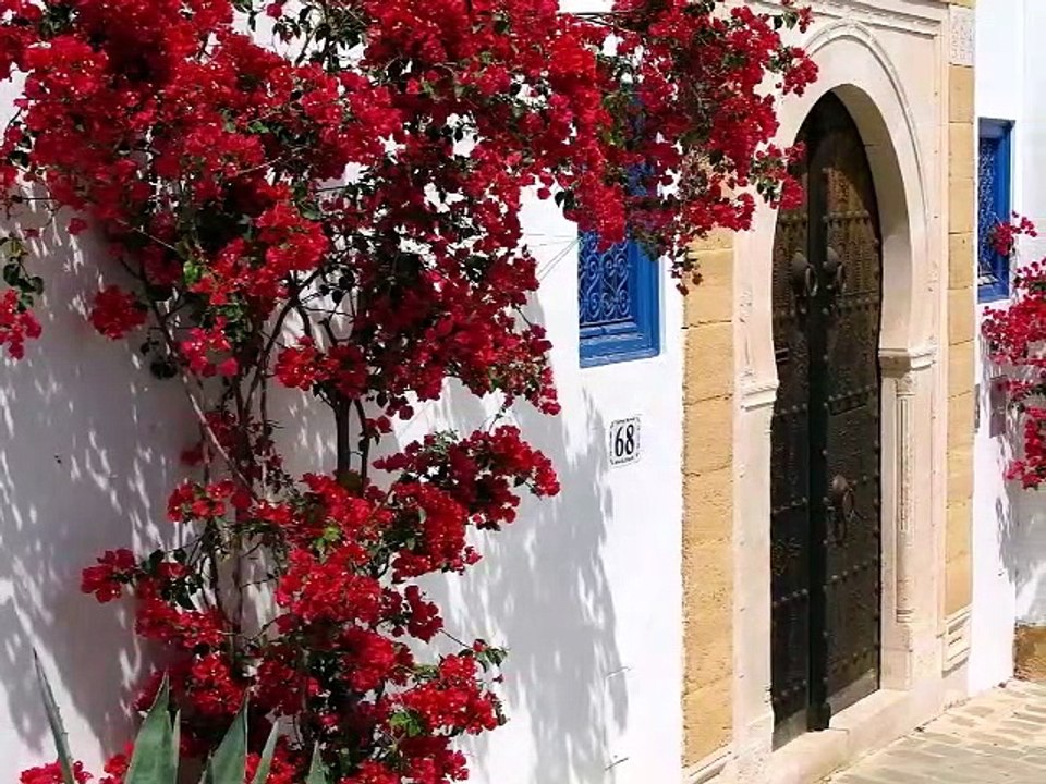 Bonjour, bonjour et excellente journée à toutes et à tous ☕️❤️ #Tunisie