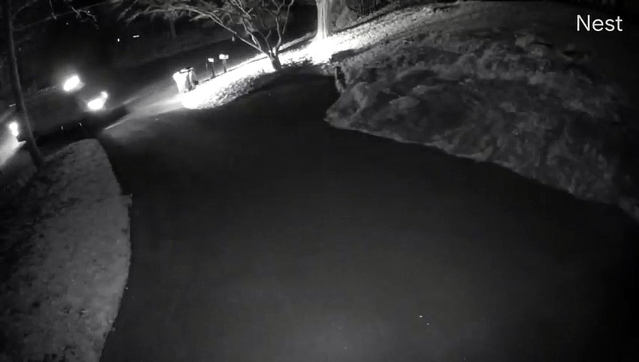 Livraison FedEx : il lâche le paquet par la fenêtre !