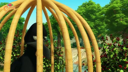 DORU ÇİZGİ FİLMİ - ÖZGÜRLÜK