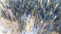 How drones help find lost hikers