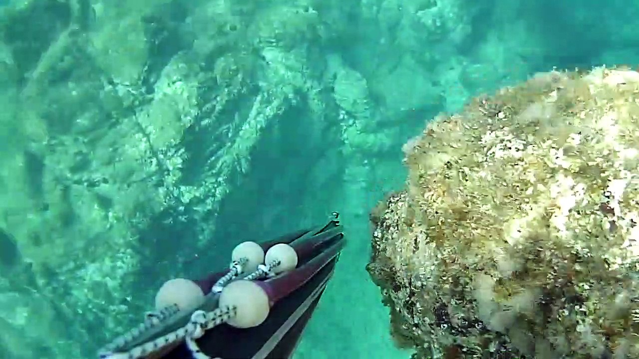 Zıpkınla Kefal Avı 2.5 KG - Spearfishing 6lb Mullet - Cefalo