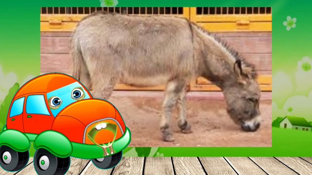 En güzel Eşek şarkısını konuşan arabalardan çocuk şarkısı animasyon izle