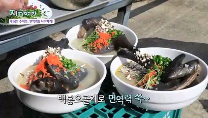 [트렌드 지금 여기] 내 몸의 주치의 면역력을 사수하라!