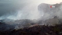 Antalya'nın Gazipaşa ilçesinde rüzgarın etkisiyle kısa sürede büyüyen yangın 15 hektar alanı kül...