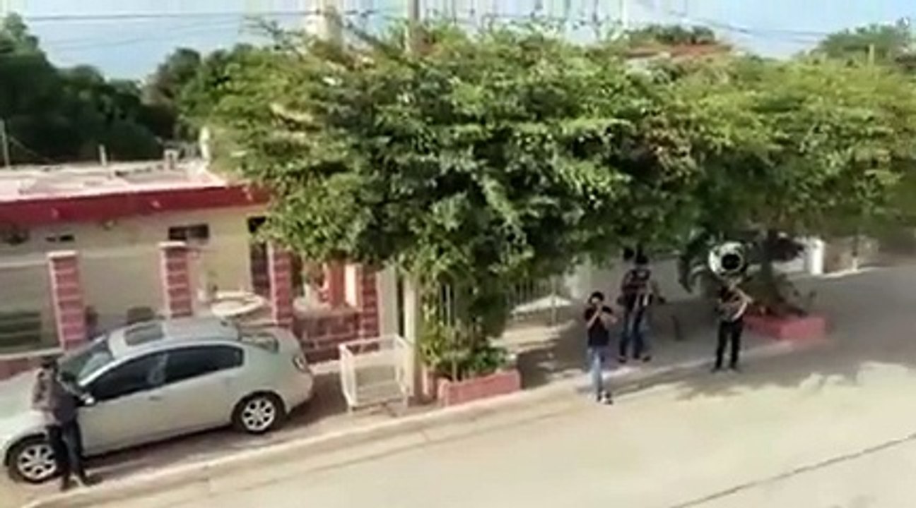 Sinaloenses no se quedan atrás  ¡Hacen sonar la banda en plena cuarentena por COVID-19!