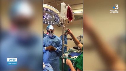 Coronavirus : les vers marins, une solution de traitement pour les patients ?