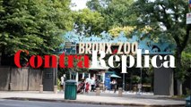 Tigre en el Bronx Zoo de Nueva York da positivo por coronavirus