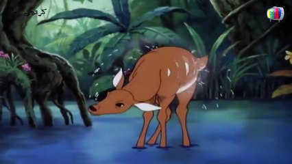 ماوكلي فتى الأدغال شارة البداية