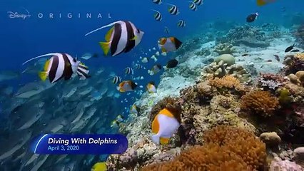 Next On Disney+ - April 2020 | Disney+ | Now Streaming