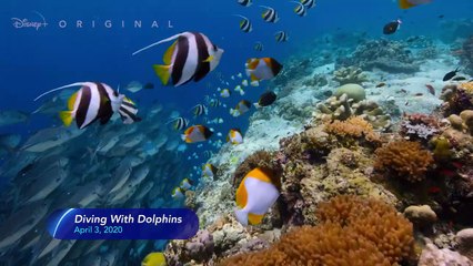 Next On Disney+ - April 2020 | Disney+ | Now Streaming