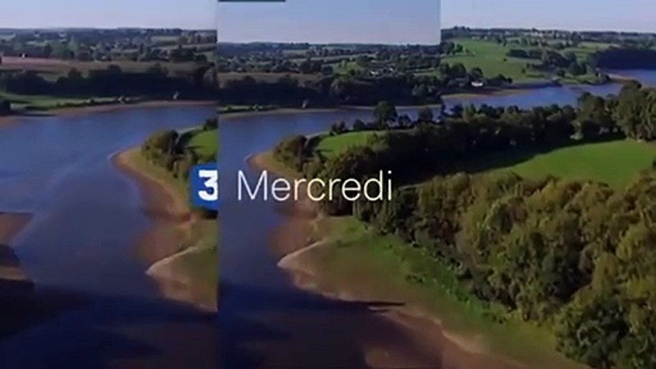 Des racines et des ailes