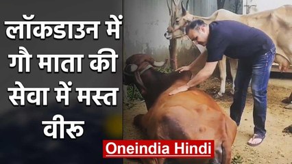 Virender Sehwag seen serving Gau Mata during lockdown, Watch Video | वनइंडिया हिंदी