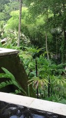 Bali - River villa 2 | Anthony S Casey Singapore