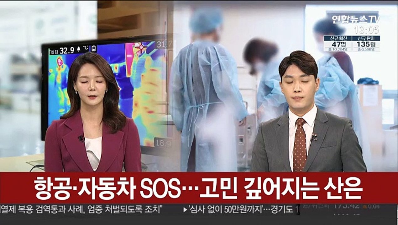 [김대호의 경제읽기] 항공·자동차 SOS…고민 깊어지는 산은