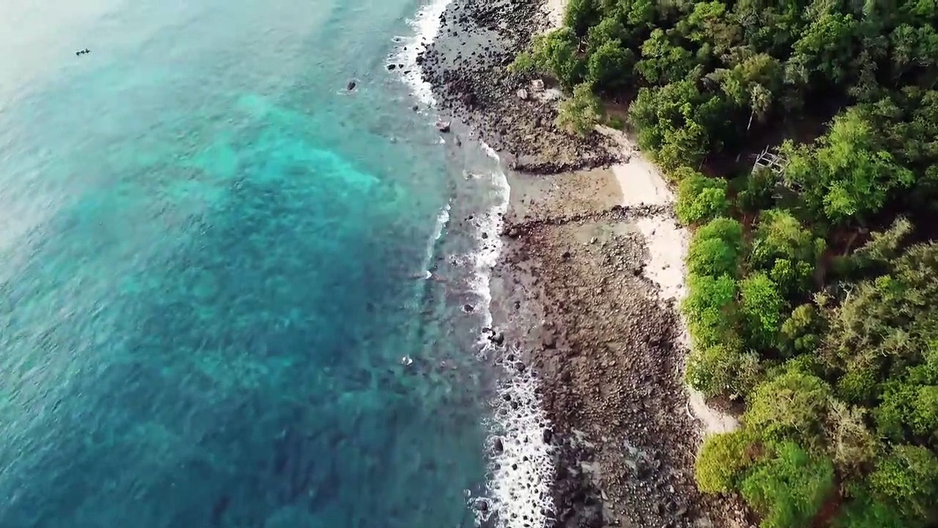 ⁣Nature video |4K video |Ultera HD video