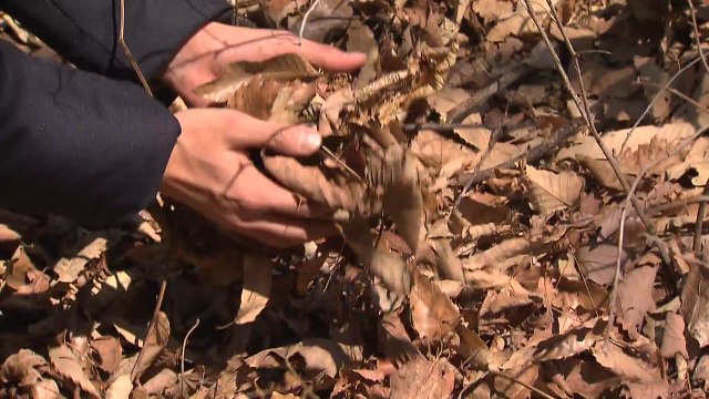 [날씨] 전국 대부분 건조특보...낮 동안 포근 / YTN