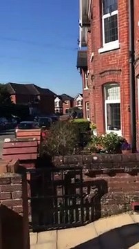 Sophia Thomas - Happy Birthday