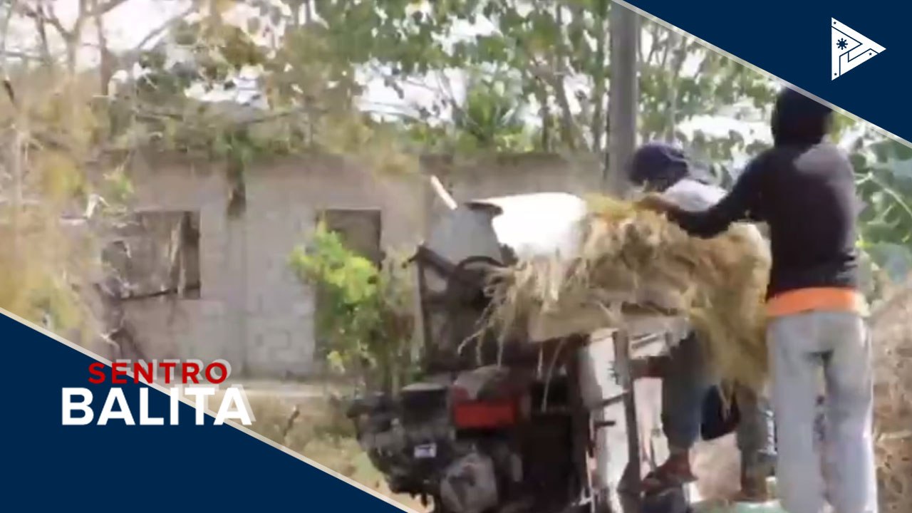 Mga magsasaka, may P5,000 ayuda mula sa Dept. of Agriculture; pamamahagi ng libreng binhi, pabibilisin pa