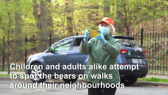 DC residents use teddy bears to bond during coronavirus confinement