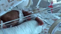 İSTANBUL Koronavirüs sonrası tüp bebek tedavileri askıya alındı