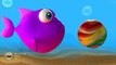 Learn colors with the Rainbow Fish as he meets a jellyfish, shark and slides down a magic slide