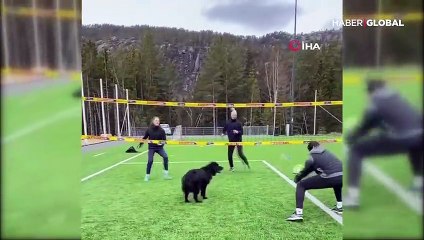 Voleybolcu karantinada köpeğiyle antrenman yaptı