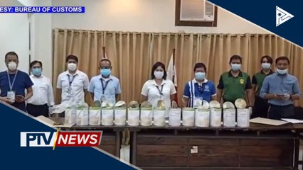 P13.2-M marijuana na nasabat sa Port of Clark, tinurn-over na sa PDEA