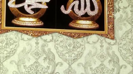 Kelebek hastası Rojin kumbarasındaki parayı Milli Dayanışma Kampanyası'na bağışladı