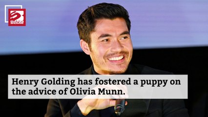 Henry Golding fosters dog
