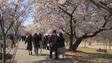 주말 이동량 다시 늘었다...2월 말 대비 20% 증가 / YTN