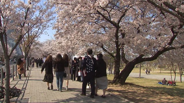 주말 이동량 다시 늘었다...2월 말 대비 20% 증가 / YTN