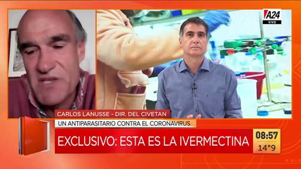 Prueban antiparasitario de animales por coronavirus