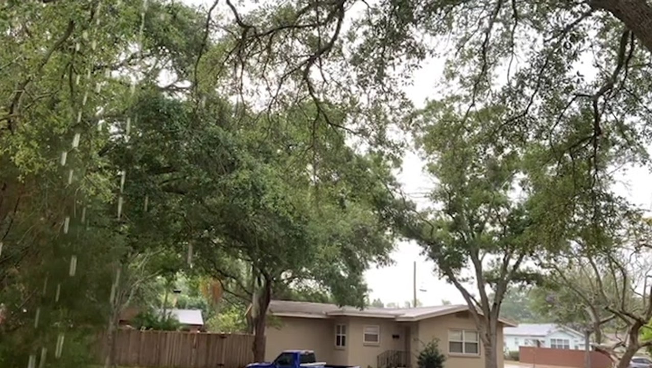 Rain soaks the Tampa Bay area