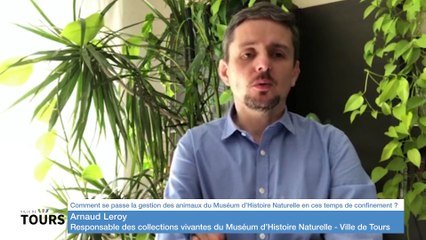 La Minute Ville de Tours #6