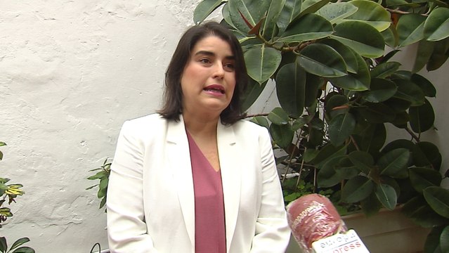 Plataforma animalista pide al Gobierno que defina más el decreto para poder pasear perros