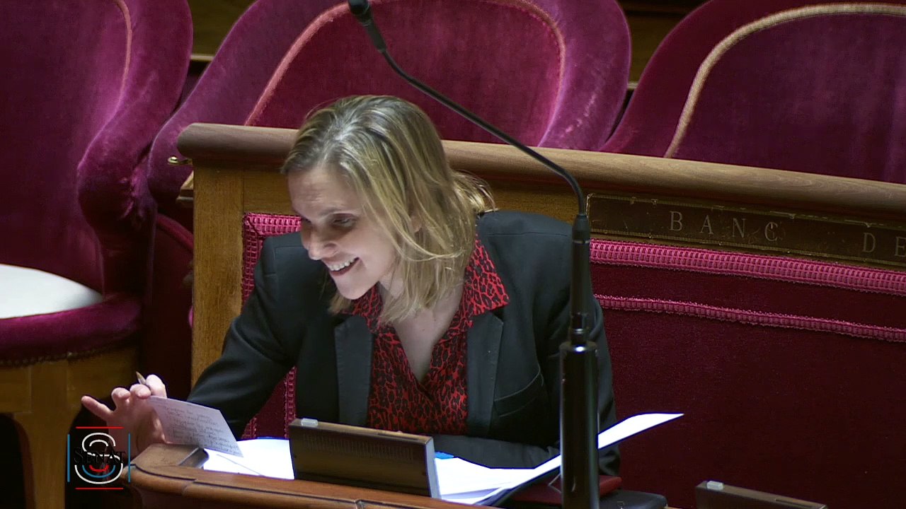 01.04.2020 - QAG Rémy Pointereau interroge la secrétaire d’État auprès du ministre  de l’économie et des finances.