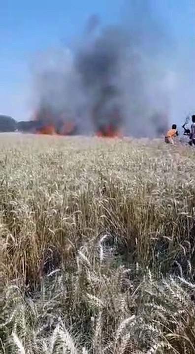 शाहजहांपुर: अचानक आग लगने से सैकड़ों बीघा गेहूं की फसल जलकर हुई राख