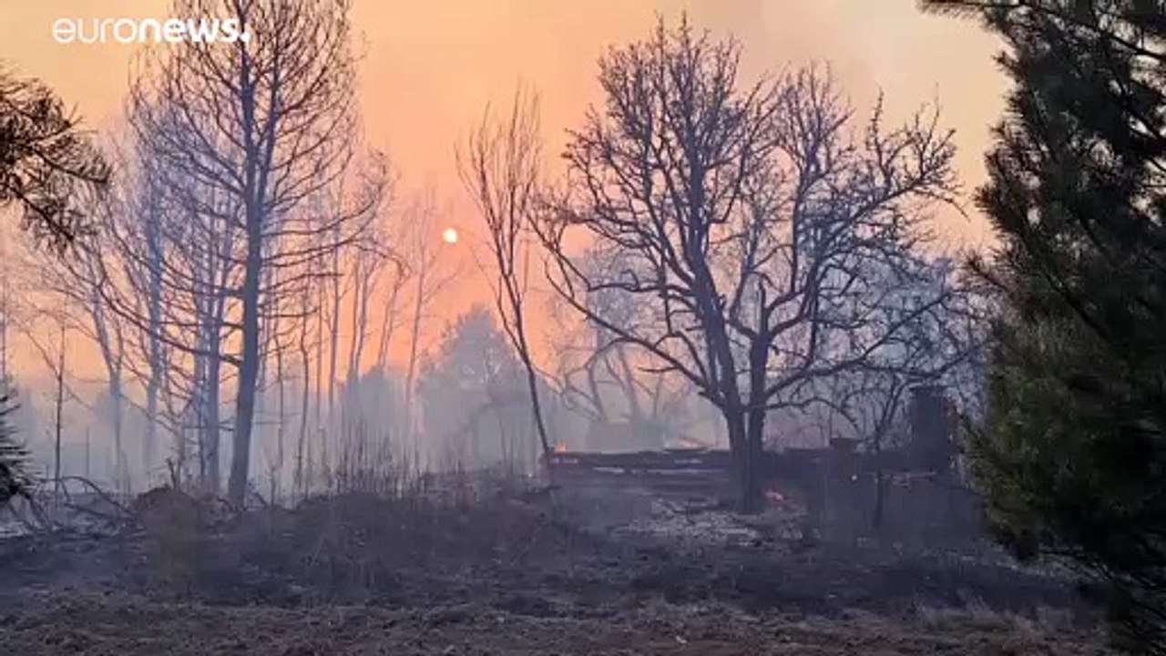 Tschernobyl: erhöhte radioaktivitätswerte nach waldbrand