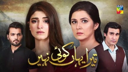 Tera Yahan Koi Nahin Episode 28 HUM TV Drama 6 April 2020