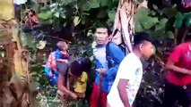 Indígenas embera en el Chocó huyen de combate entre ELN y Autodefensas