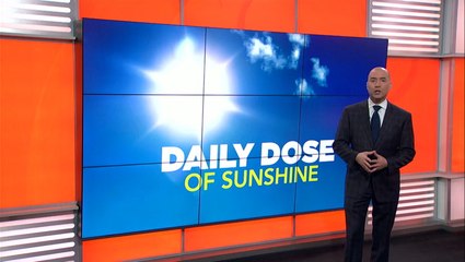 Daily dose of sunshine: Mental health during isolation