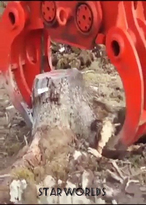 Mit Technologie nicht unmöglich