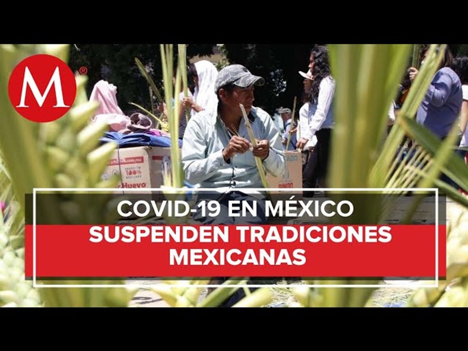 Domingo de Ramos... ¡sin ramos!