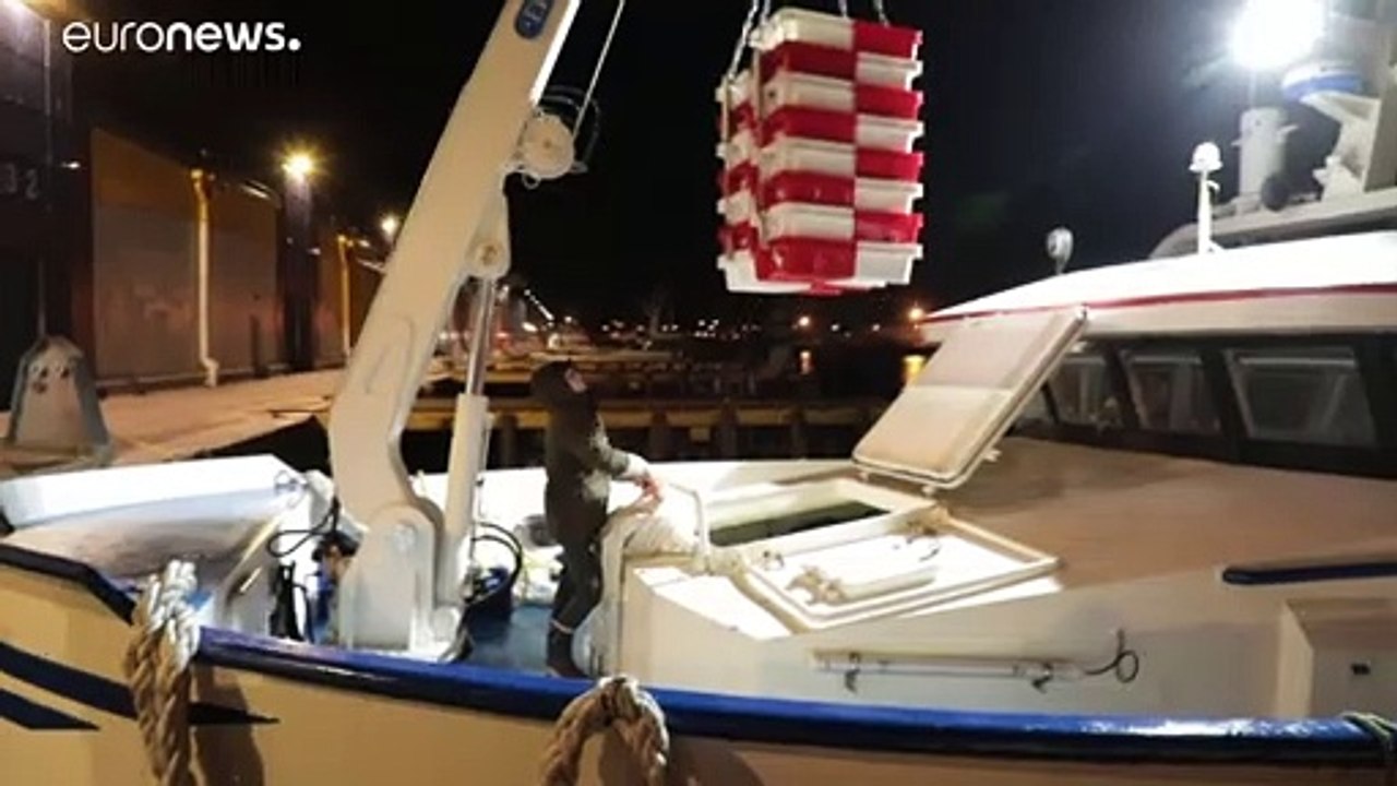 EU-Fischerei leidet - aber Anchovis boomen dank Pizza