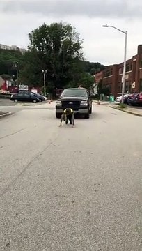 Elle tire un 4x4 à pieds avec des gens dedans !