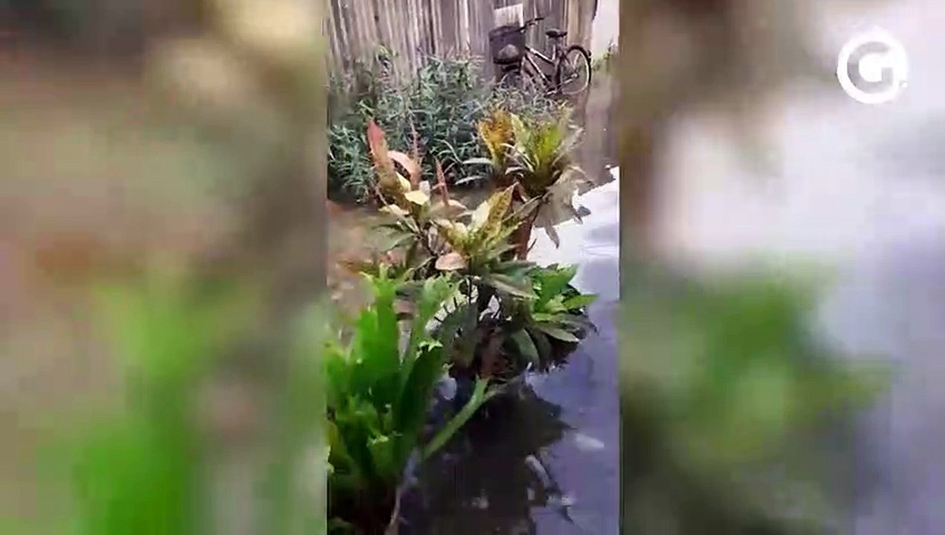 Maré sobe e alaga casas em Vitória
