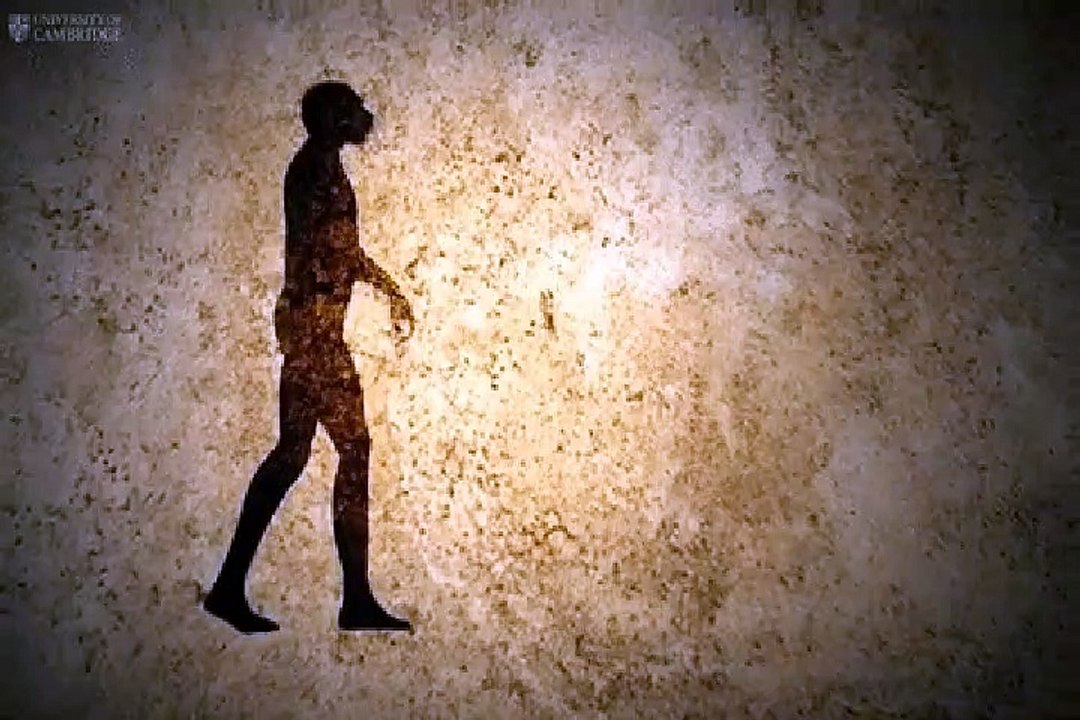 MVGEN: Jess The Facts : Evolution Like Jazz