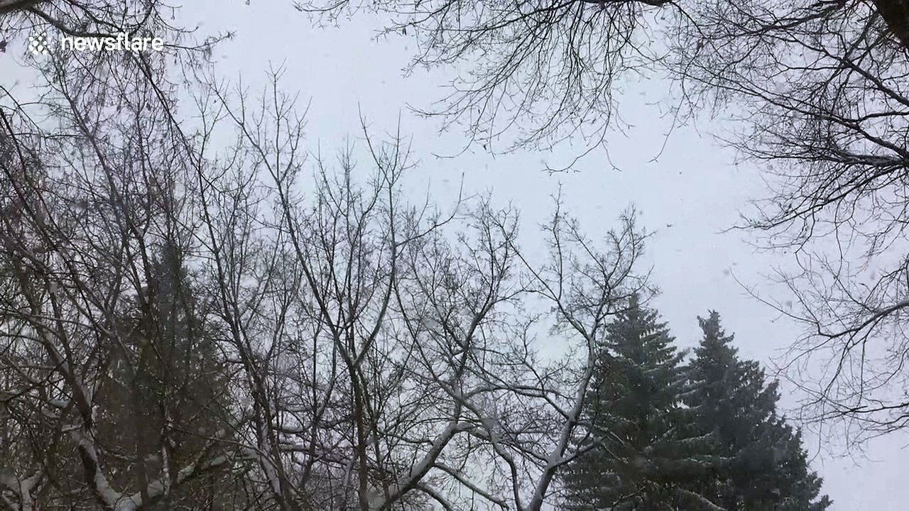 Fluffy spring snowfall is oddly satisfying in Saskatchewan, Canada