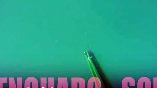 Zıpkınla Kalkan Balığı Avı - Spearfishing Turbot Fish